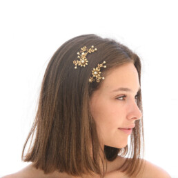 wedding hair pin set in gold